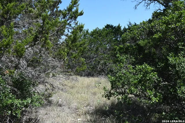 291 Serenity Pass Spring Branch, TX 78070