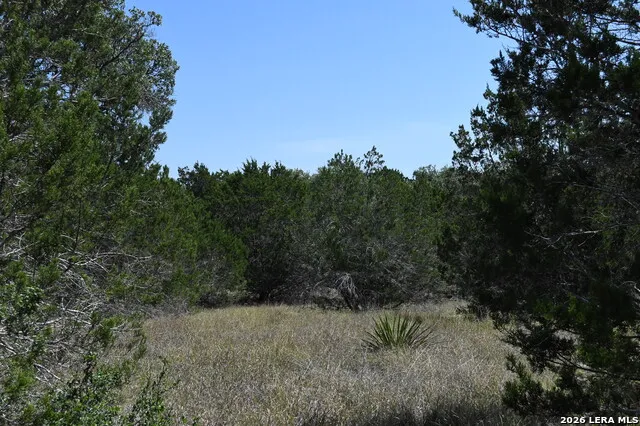 291 Serenity Pass Spring Branch, TX 78070