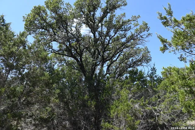 291 Serenity Pass Spring Branch, TX 78070