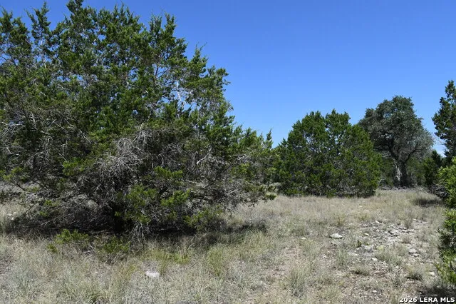 291 Serenity Pass Spring Branch, TX 78070