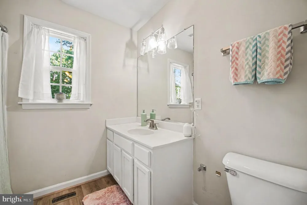 11586 HAZEL RIVER ROAD Rixeyville, VA 22737