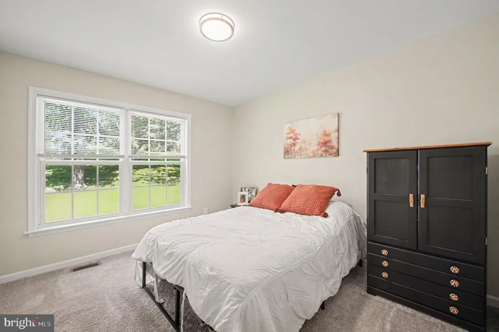 11586 HAZEL RIVER ROAD Rixeyville, VA 22737