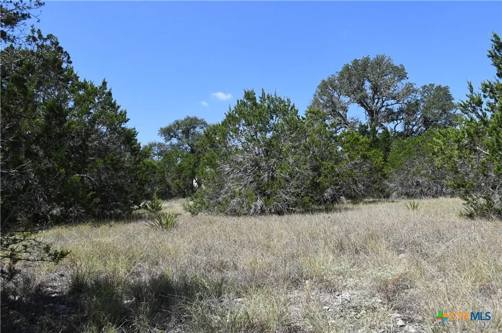 291 Serenity Pass Spring Branch, TX 78070