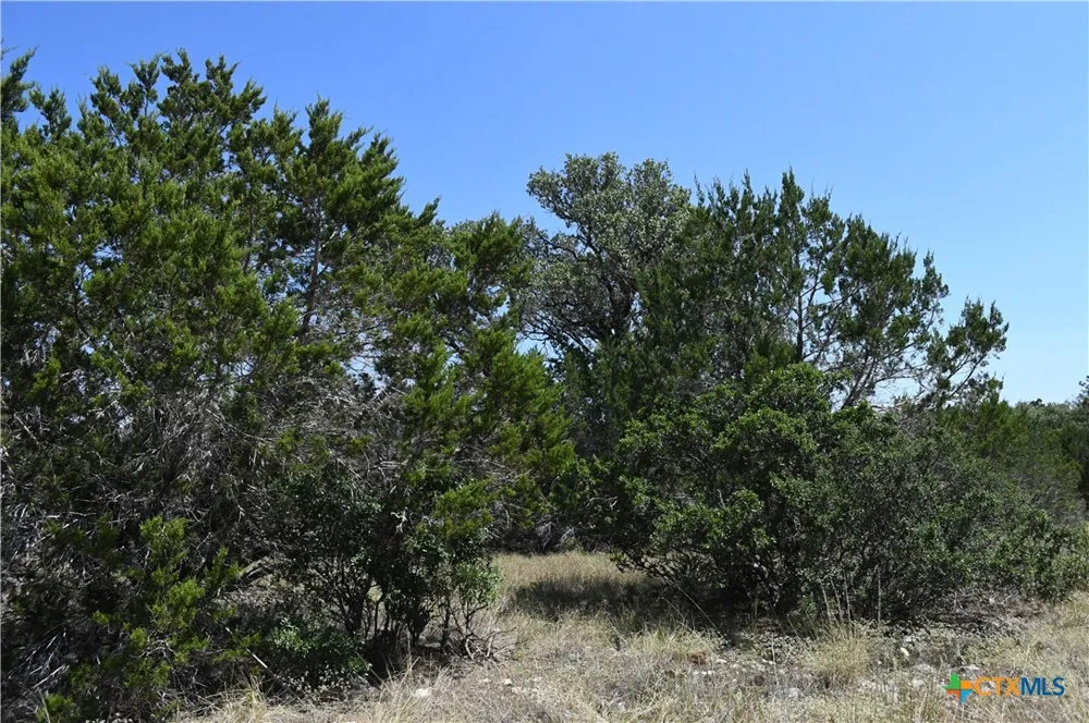291 Serenity Pass Spring Branch, TX 78070