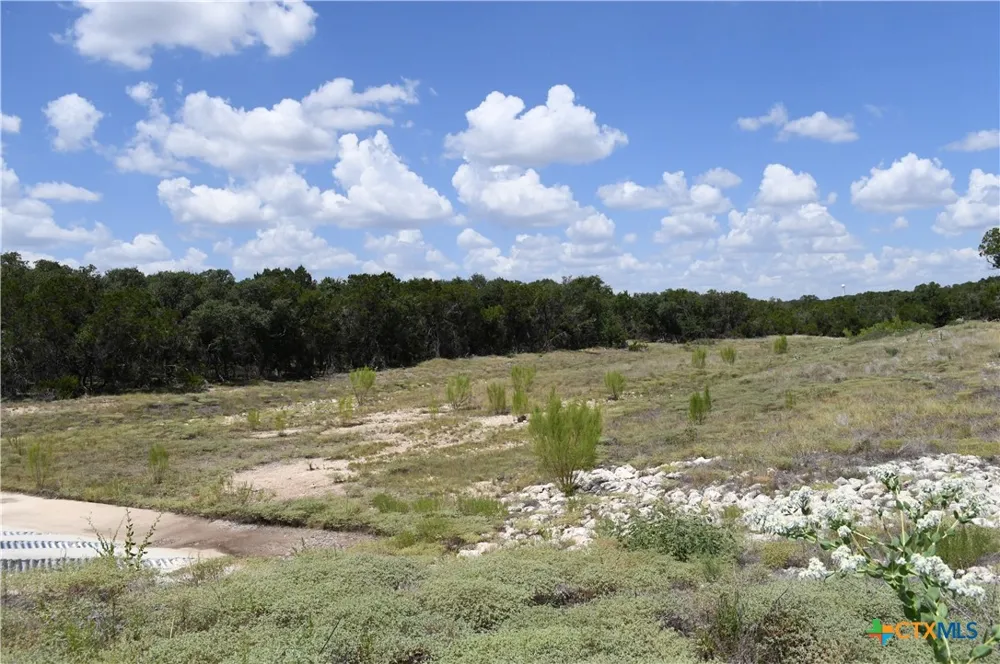 291 Serenity Pass Spring Branch, TX 78070