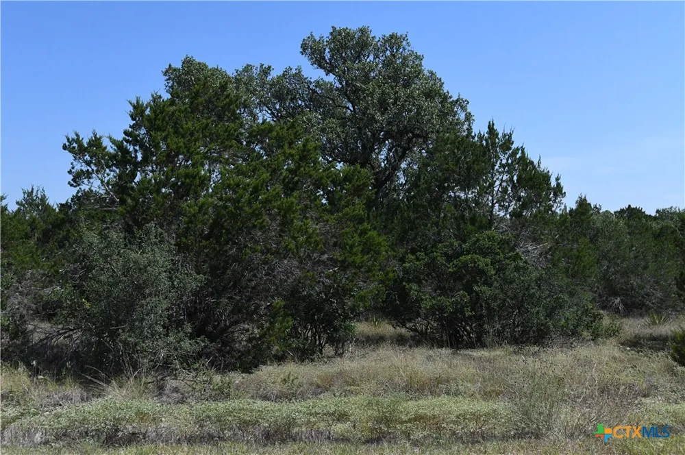 291 Serenity Pass Spring Branch, TX 78070