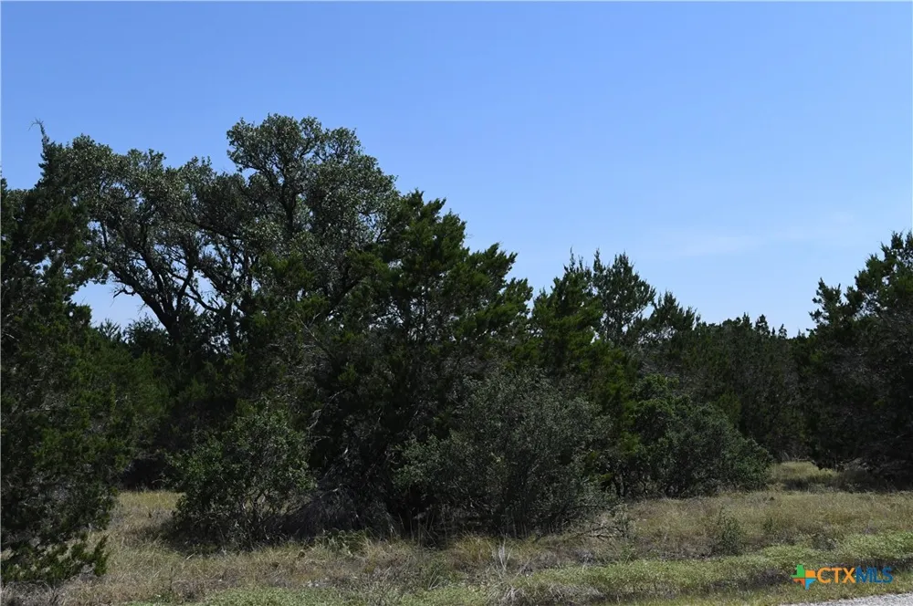291 Serenity Pass Spring Branch, TX 78070