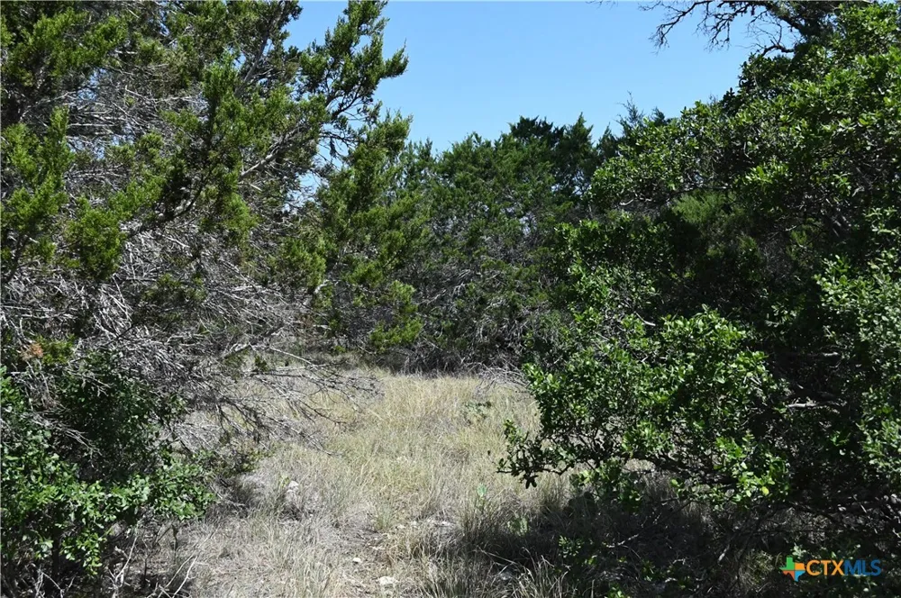 291 Serenity Pass Spring Branch, TX 78070