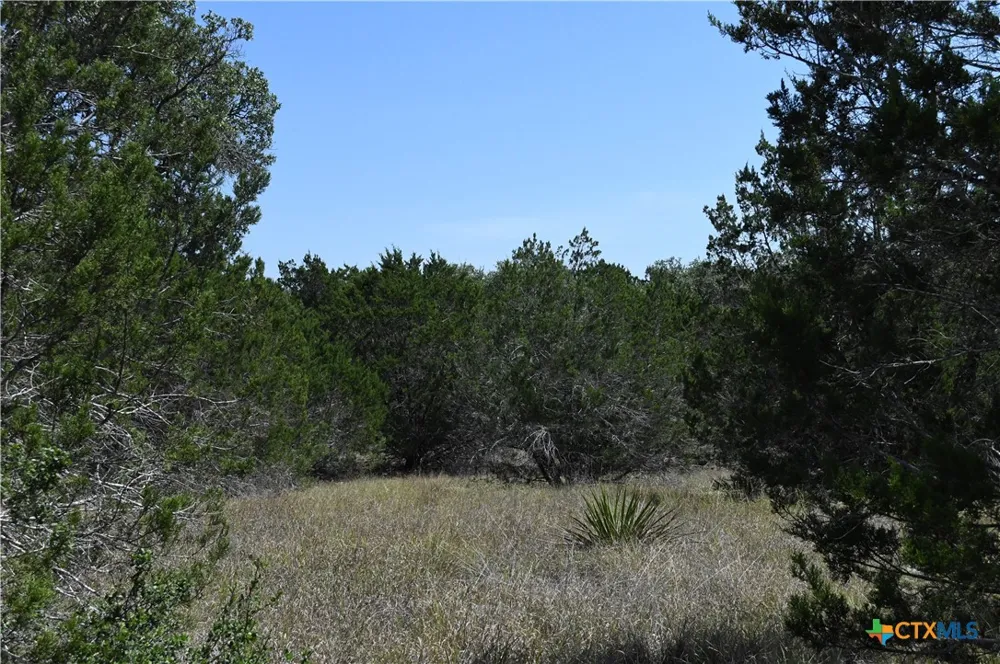291 Serenity Pass Spring Branch, TX 78070