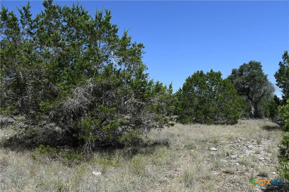 291 Serenity Pass Spring Branch, TX 78070