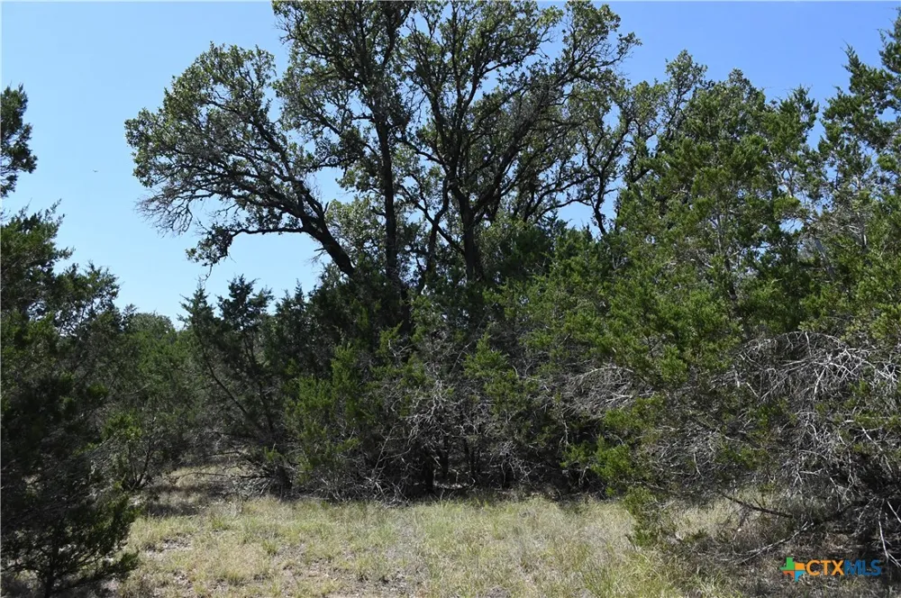291 Serenity Pass Spring Branch, TX 78070