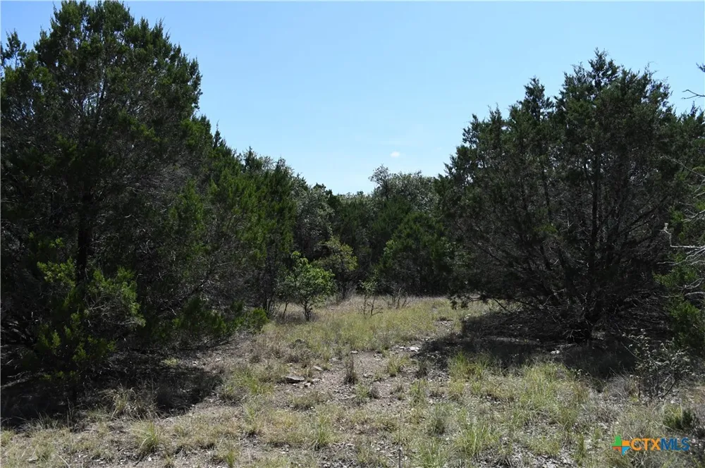 291 Serenity Pass Spring Branch, TX 78070