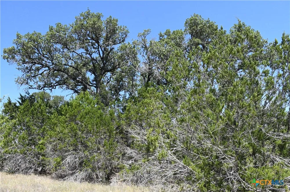 291 Serenity Pass Spring Branch, TX 78070