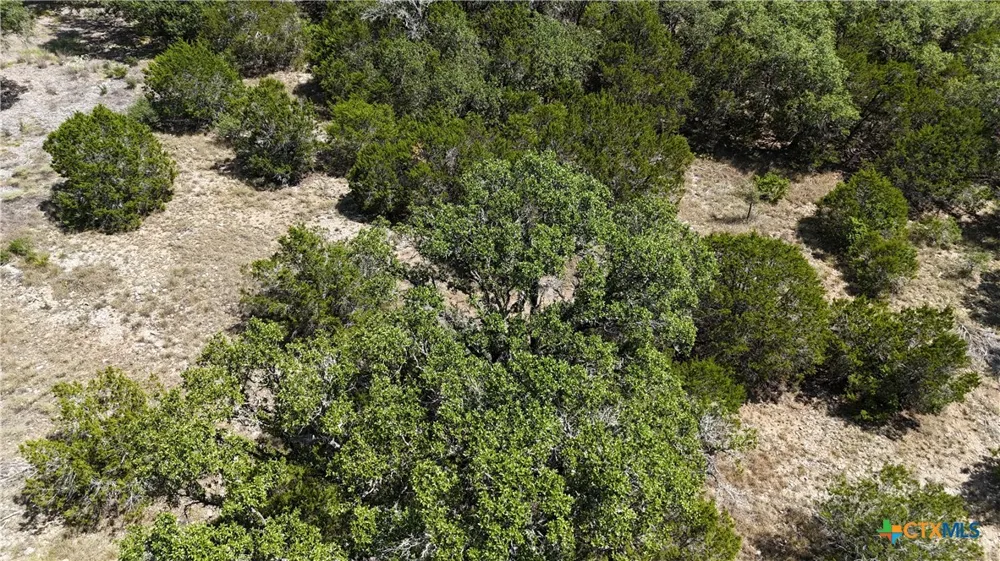 291 Serenity Pass Spring Branch, TX 78070