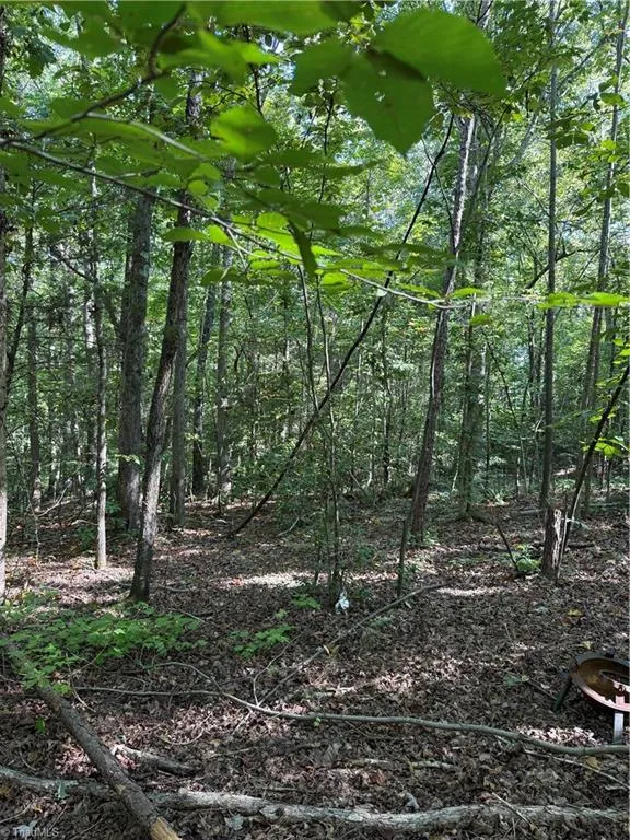 5102 Waynick Meadow Road Asheboro, NC 27205