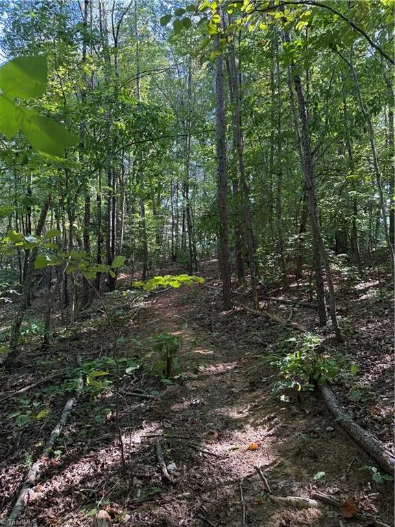 5102 Waynick Meadow Road Asheboro, NC 27205
