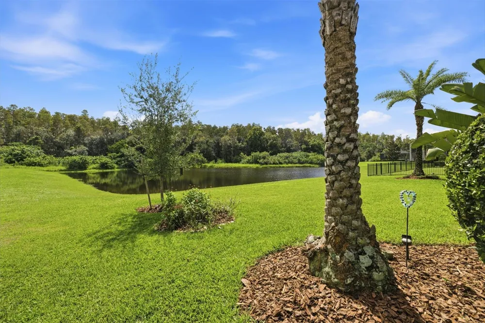 18615 RUE BEAUVAIS Lutz, FL 33558