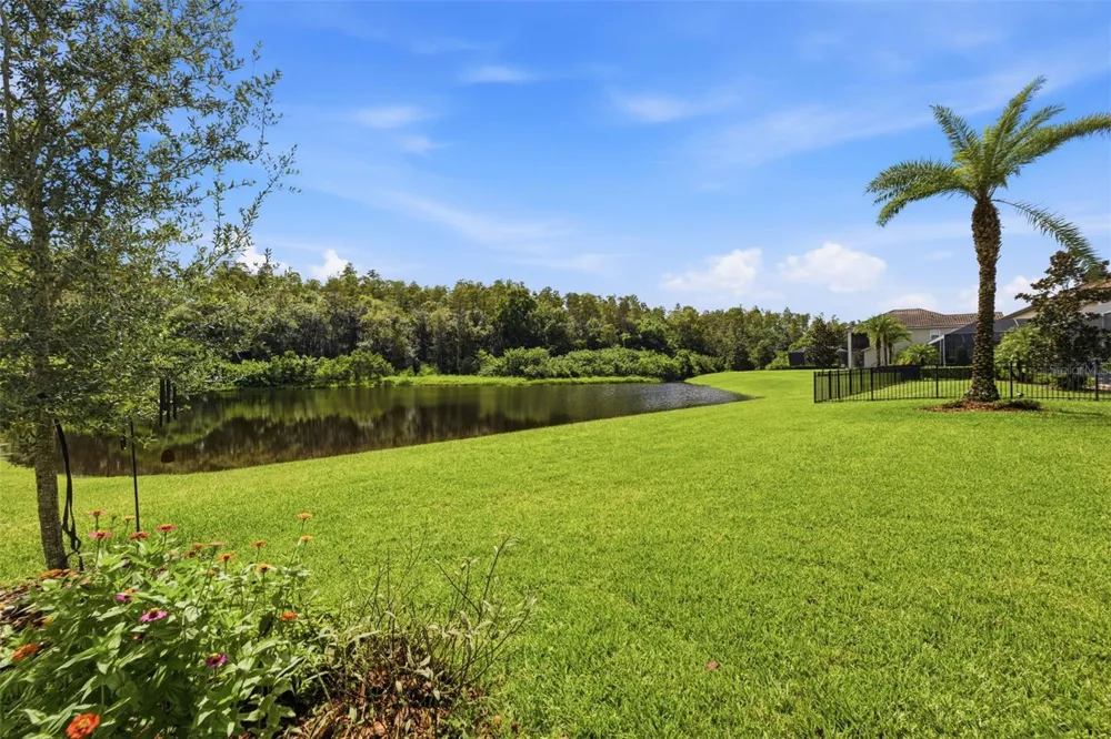 18615 RUE BEAUVAIS Lutz, FL 33558