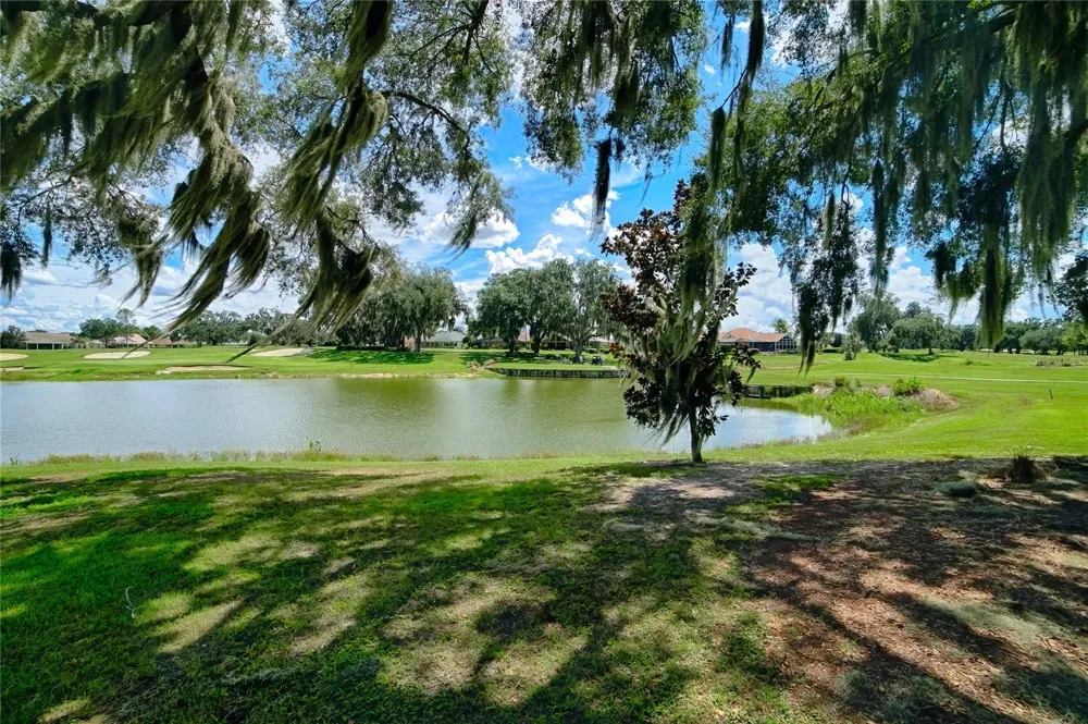 1130 SAYLE STREET The Villages, FL 32162