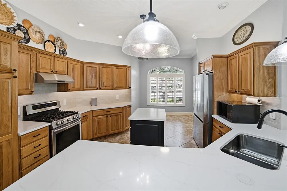 1130 SAYLE STREET The Villages, FL 32162