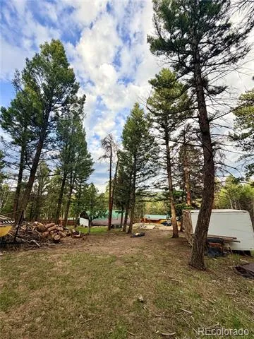 29230 S Sunset Trail Conifer, CO 80433