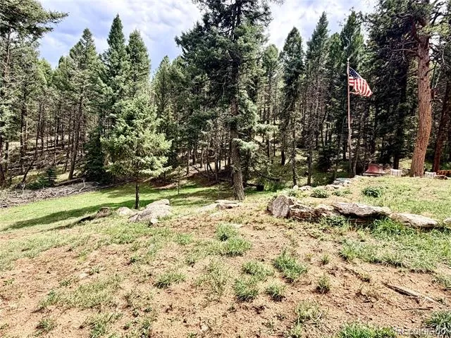 29230 S Sunset Trail Conifer, CO 80433
