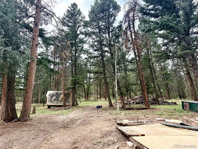 29230 S Sunset Trail Conifer, CO 80433