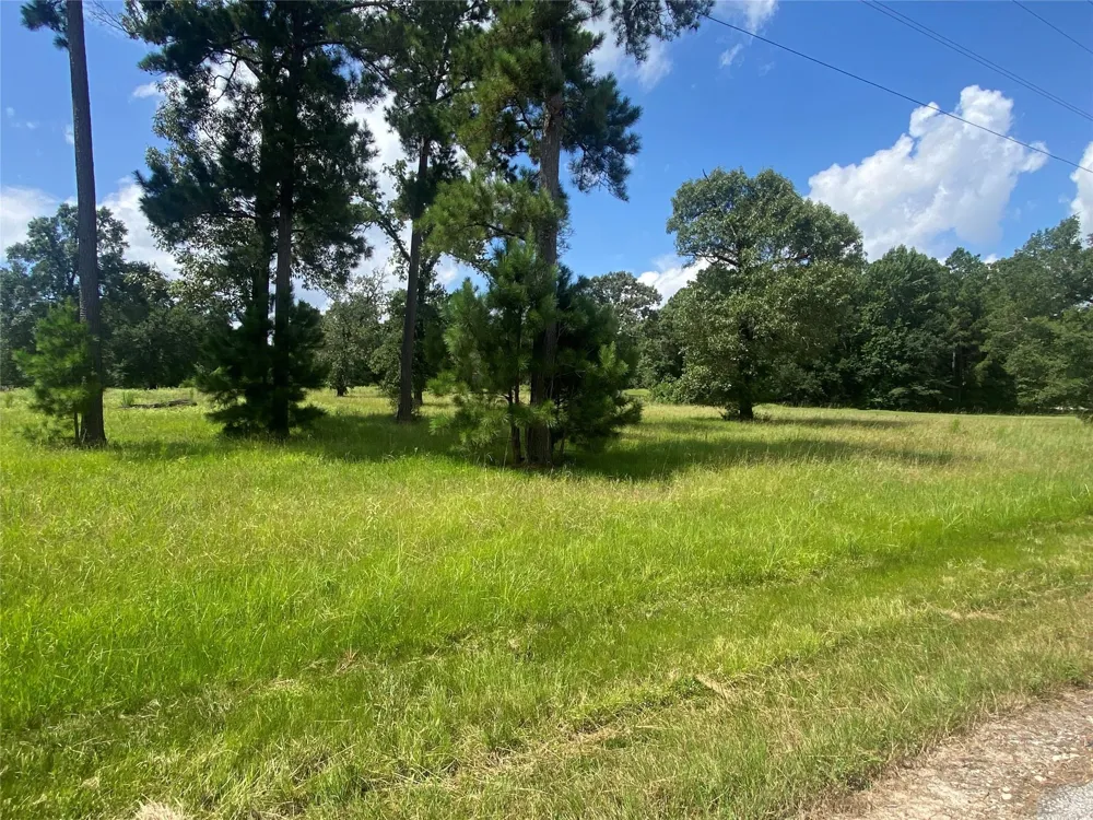 2 Dahlia Road Huntsville, TX 77320
