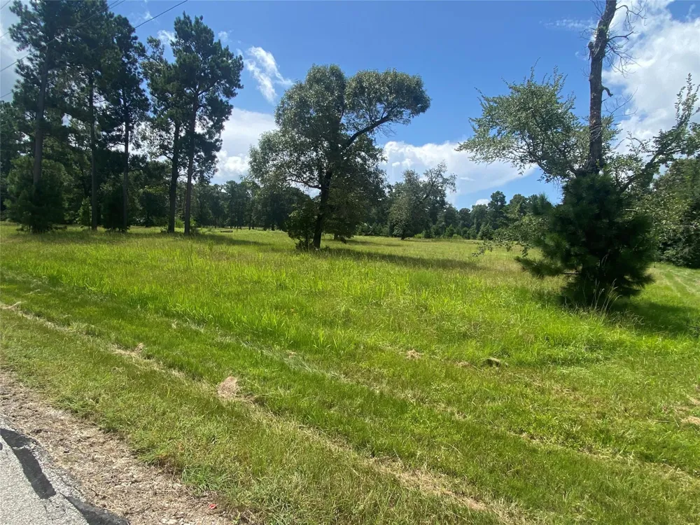 2 Dahlia Road Huntsville, TX 77320