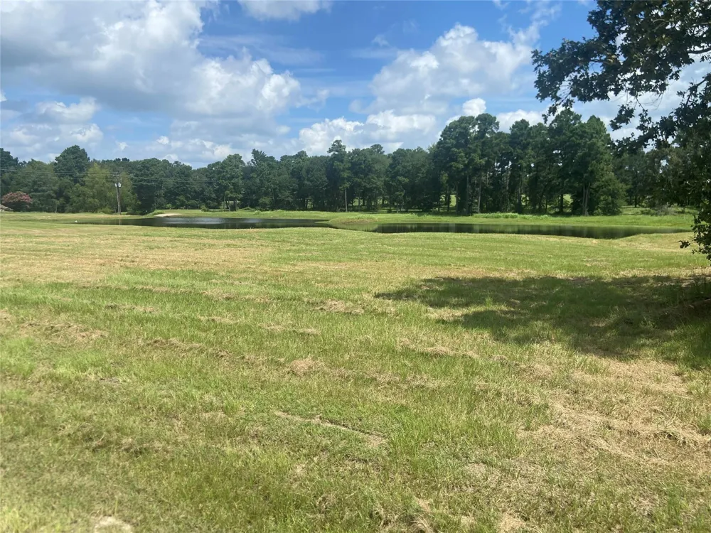 2 Dahlia Road Huntsville, TX 77320