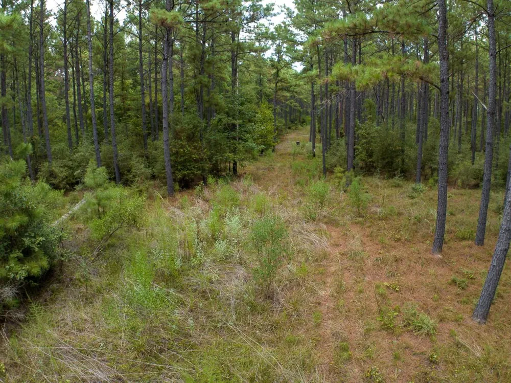 8330 Fm 355 Trinity, TX 75862