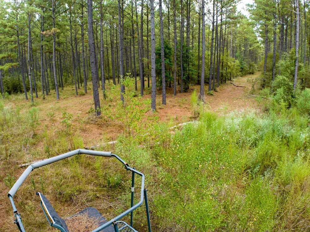 8330 Fm 355 Trinity, TX 75862
