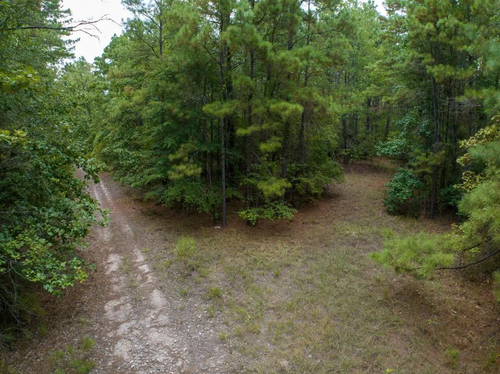 8330 Fm 355 Trinity, TX 75862