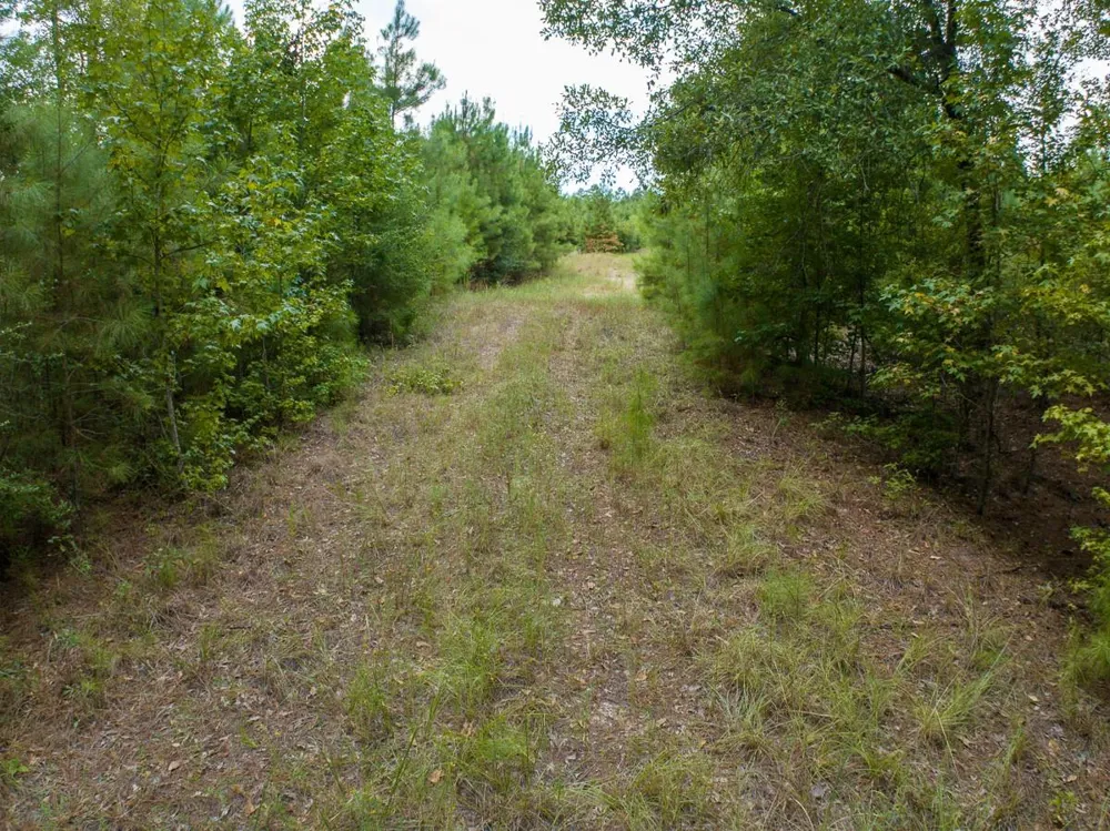 8330 Fm 355 Trinity, TX 75862