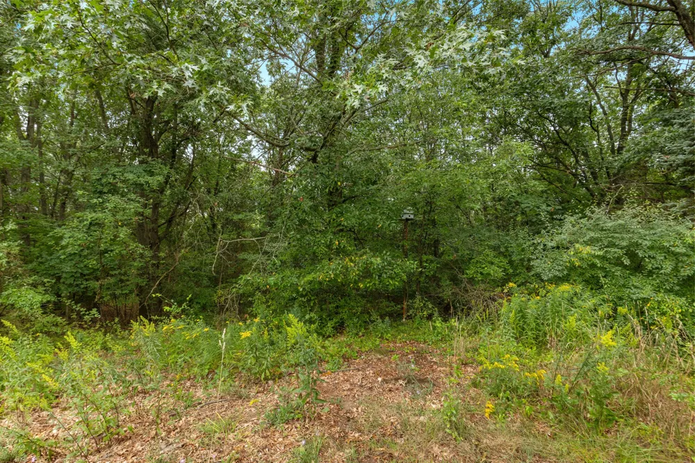 8183 Herrington Avenue NE Belmont, MI 49306