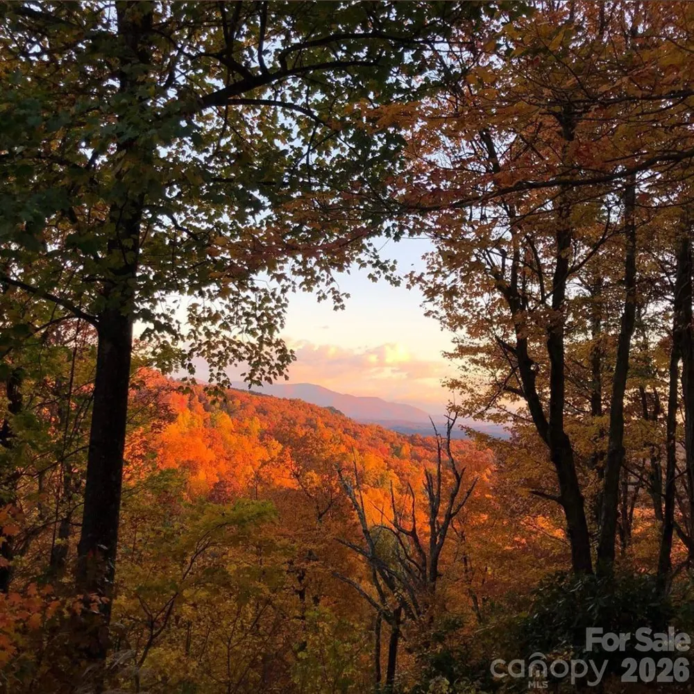 10 Camp Elliott Road Black Mountain, NC 28711