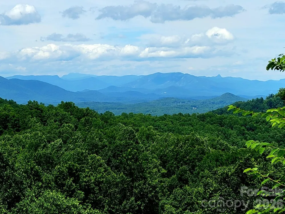10 Camp Elliott Road Black Mountain, NC 28711