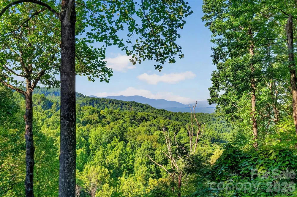 10 Camp Elliott Road Black Mountain, NC 28711