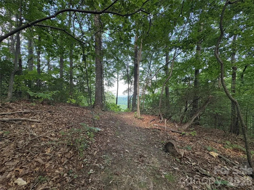 10 Camp Elliott Road Black Mountain, NC 28711