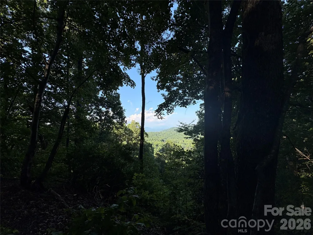 10 Camp Elliott Road Black Mountain, NC 28711