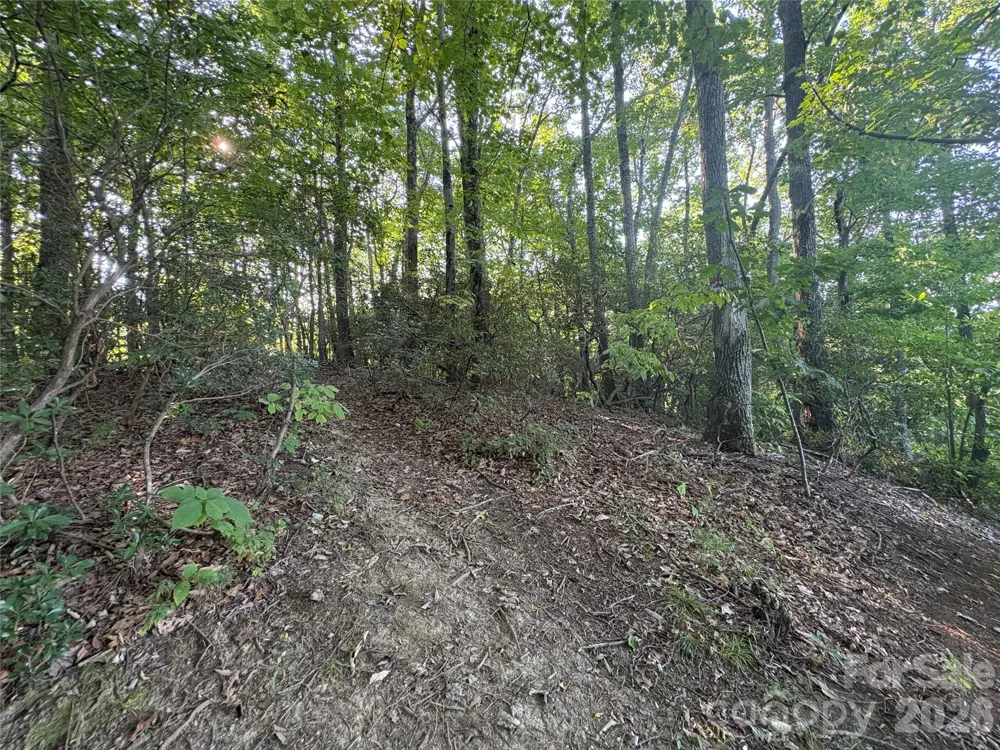 10 Camp Elliott Road Black Mountain, NC 28711