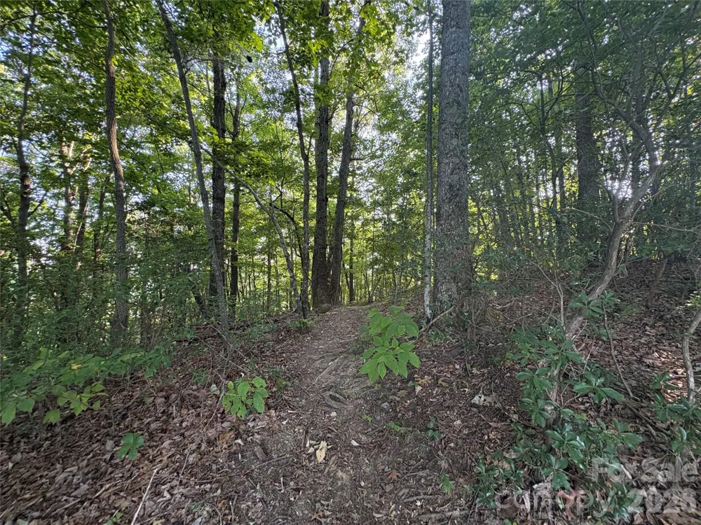 10 Camp Elliott Road Black Mountain, NC 28711