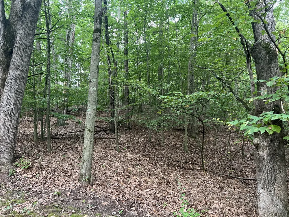 9433 S Annie Lane Newaygo, MI 49337