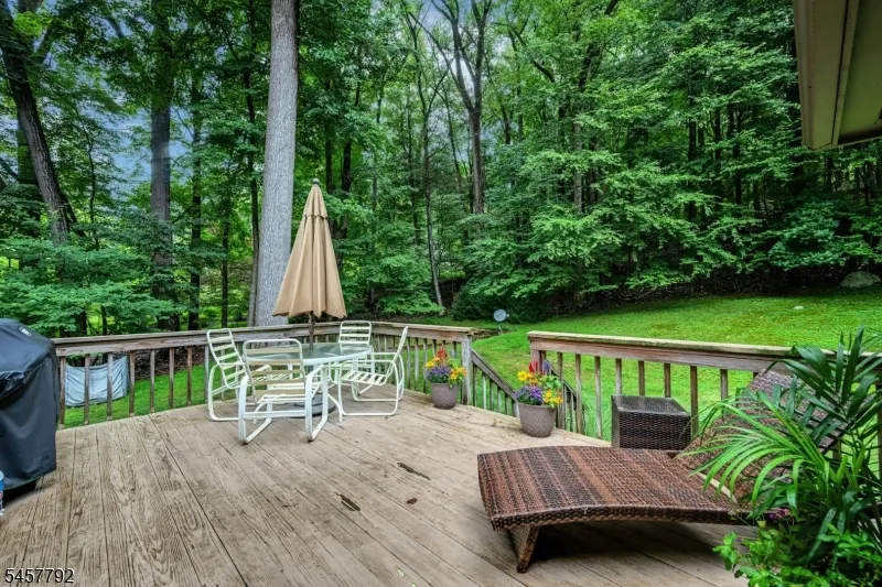 55 Cheyenne Trl Sparta, NJ 07871