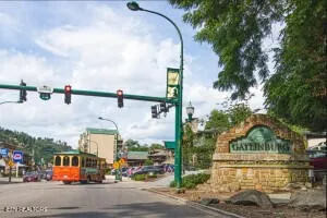 215 Woliss Lane #303 Gatlinburg, TN 37738