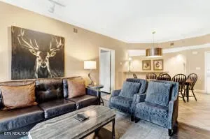 215 Woliss Lane #303 Gatlinburg, TN 37738
