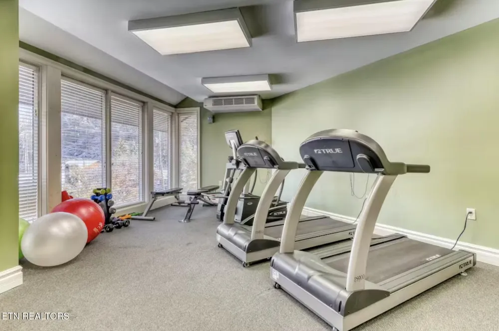 215 Woliss Lane #303 Gatlinburg, TN 37738