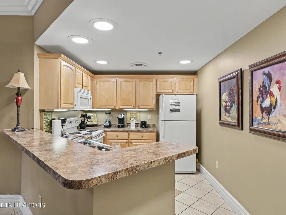 215 Woliss Lane #303 Gatlinburg, TN 37738