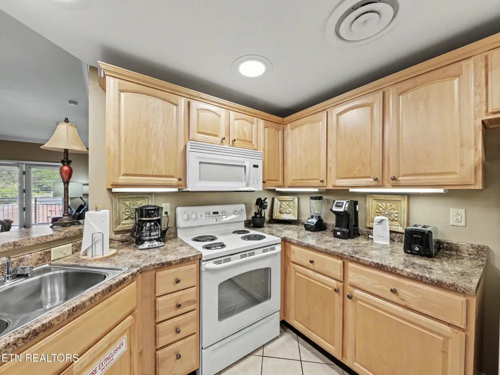 215 Woliss Lane #303 Gatlinburg, TN 37738