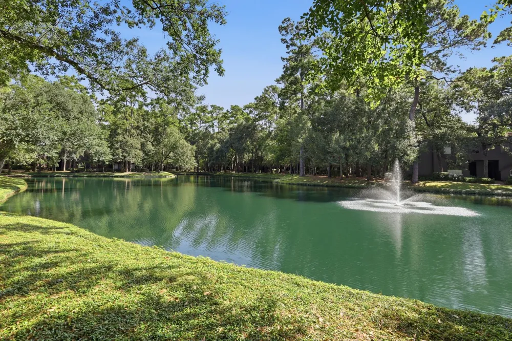 119 Litchfield Lane Houston, TX 77024